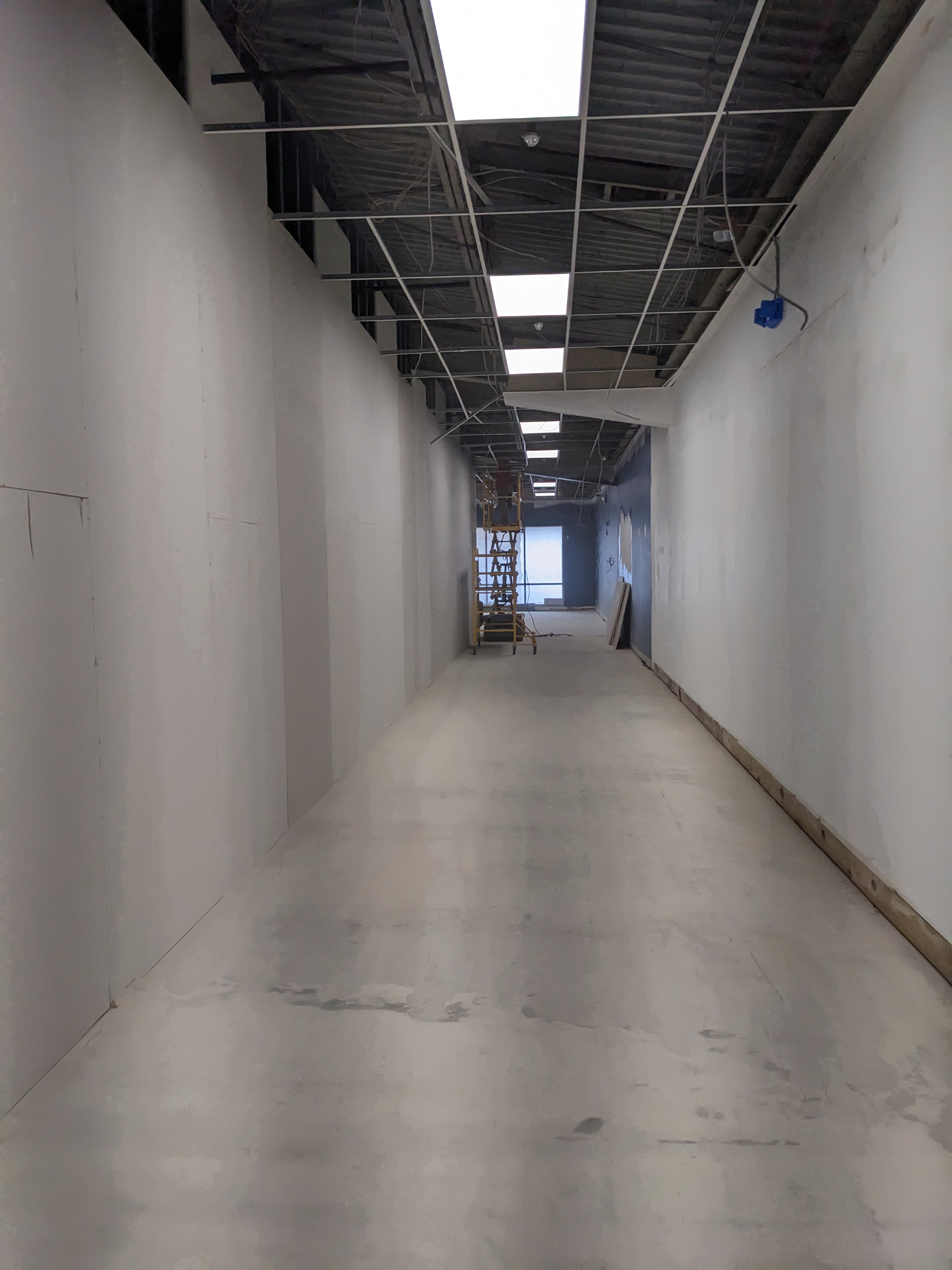 Carp - cape-may-true-value